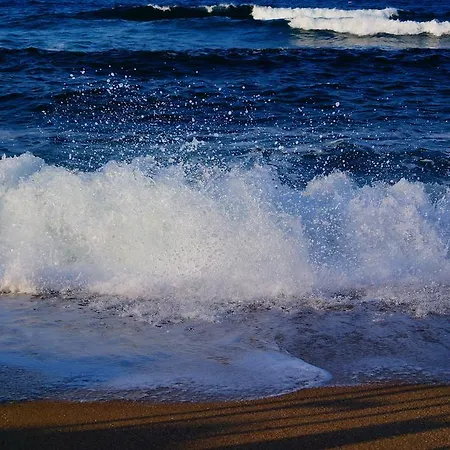 Πανσιόν Dara Tsarevo