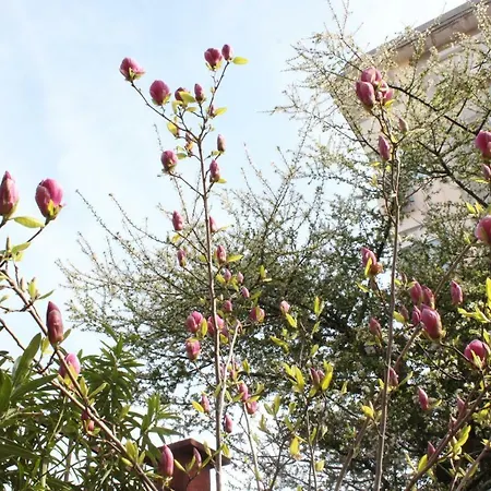 Dara Πανσιόν 2*