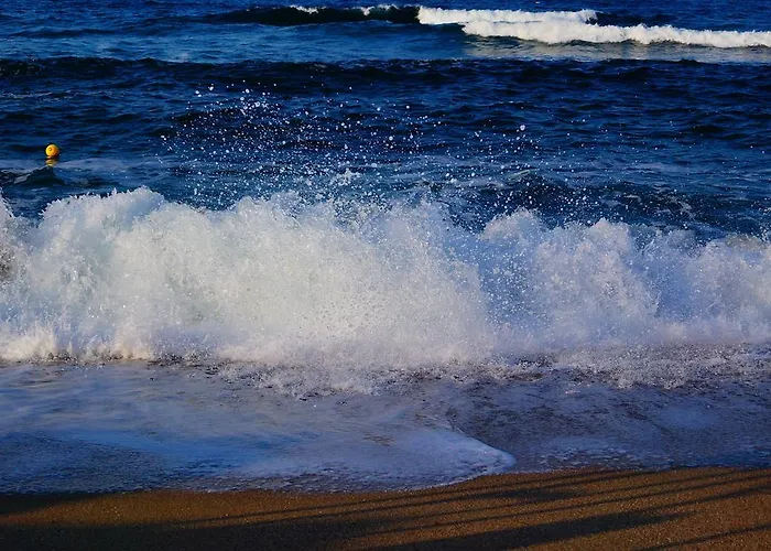 Pensiune Dara Țarevo